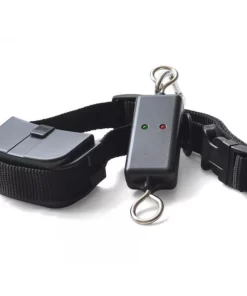 Anti-Barking Controller