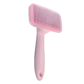 510O13vDBbL._UF350,350_QL80_