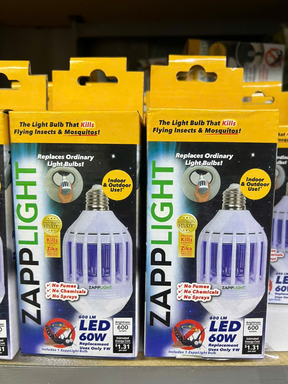 z7232830571338_43628600eabfa04b4ef25cc5c5dac56b