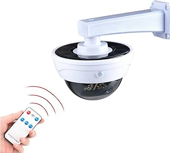 51XuezAhLDL._AC_UF350,350_QL80_