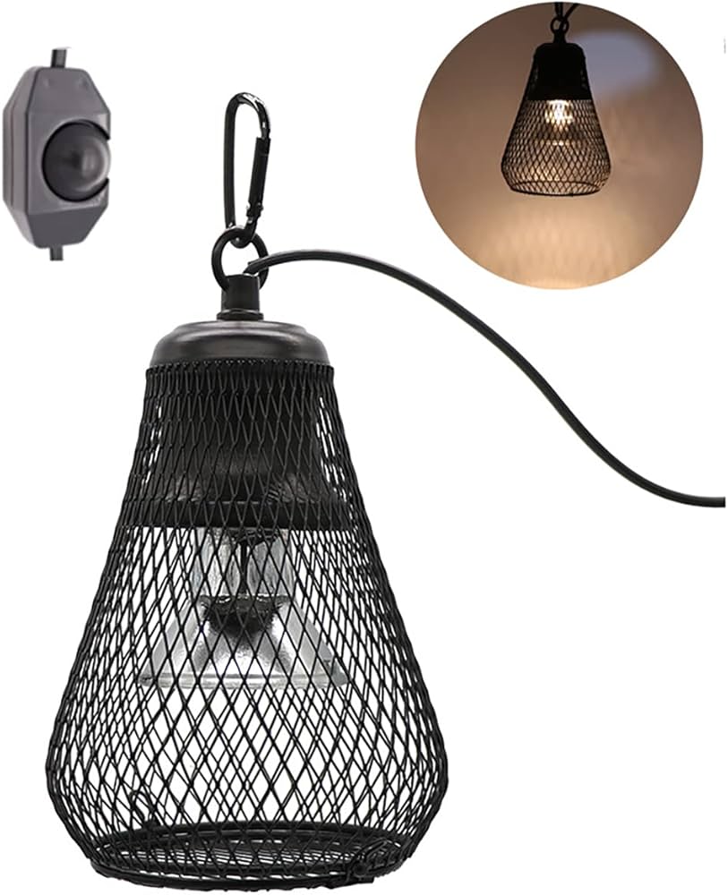 61iUkiPp01L._AC_UF894,1000_QL80_